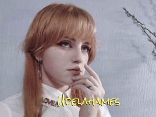 Udelahames