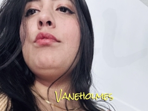 Vaneholmes