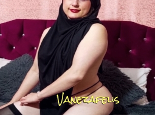 Vanezafelis