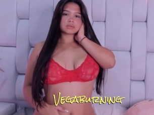 Vegaburning