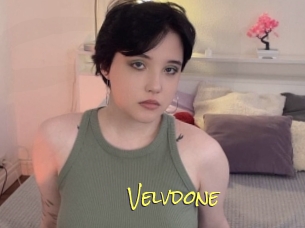 Velvdone