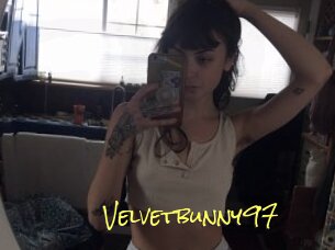 Velvetbunny97