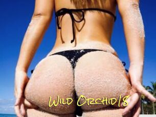 Wild_Orchid18