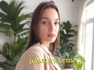 Wandaenderby