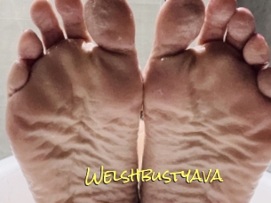 Welshbustyava