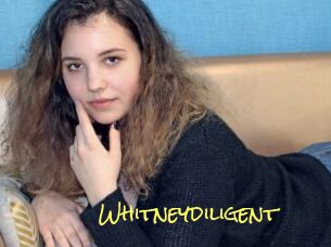 Whitneydiligent