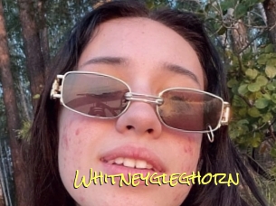 Whitneygleghorn