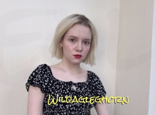 Wildagleghorn