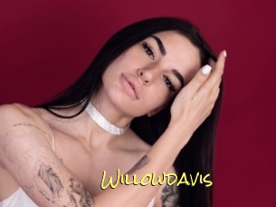 Willowdavis