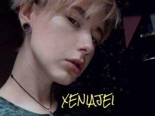 XENIA_JEI
