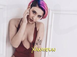 Xangiesin