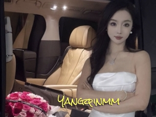 Yangqinmm