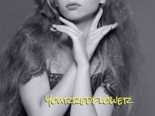 Yourredflower