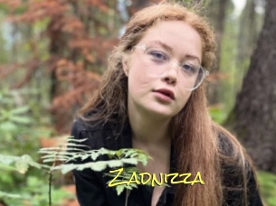 Zadnizza