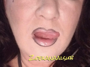 Zoekanaalsub